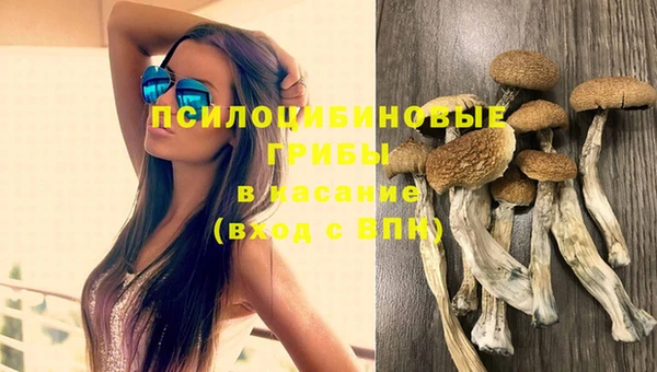 2c-b Богородицк