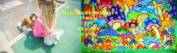 дурь Бугульма